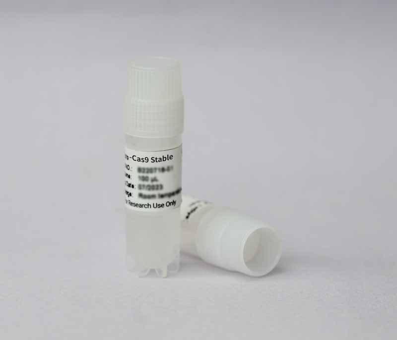 VSC4.1-Cas9