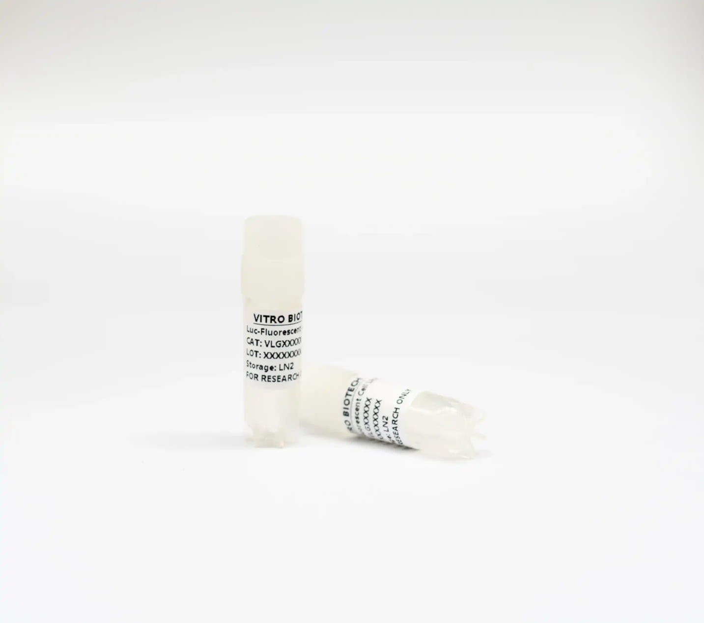 TM3-Luc-GFP